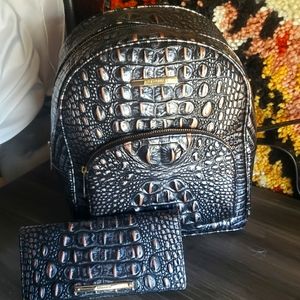 Brahmin Dartmouth Backpack and Wallet